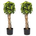 Trademark Global 30 in. Pure Garden English Ivory Single Ball Topiary Tree, 2PK 50-10017